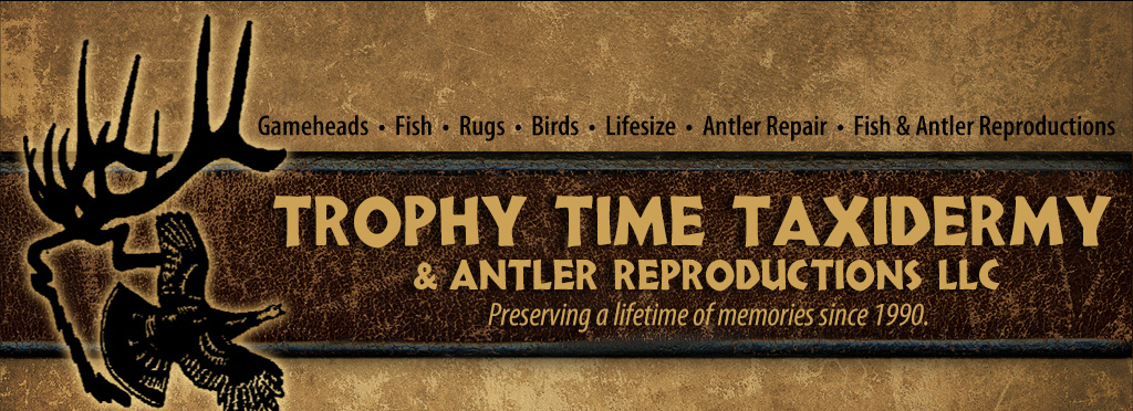 Trophy Time Taxidermy